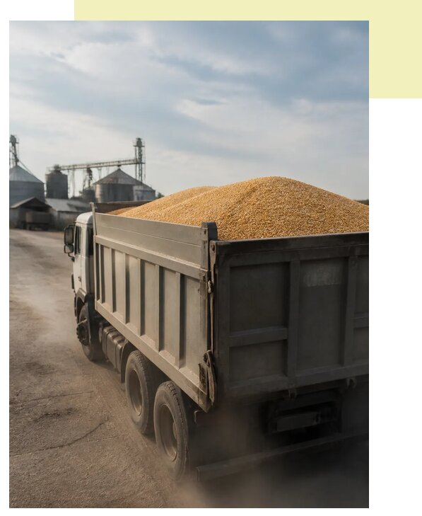 Перевозка сельхозпродукции навалом в Североуральск по цене от 3090 р. | Агросервис-Сву