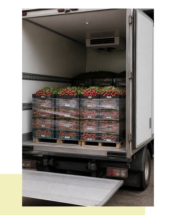 Перевозка редиса в Североуральск с соблюдением температурного режима